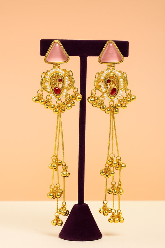 Long Kashmiri Earrings