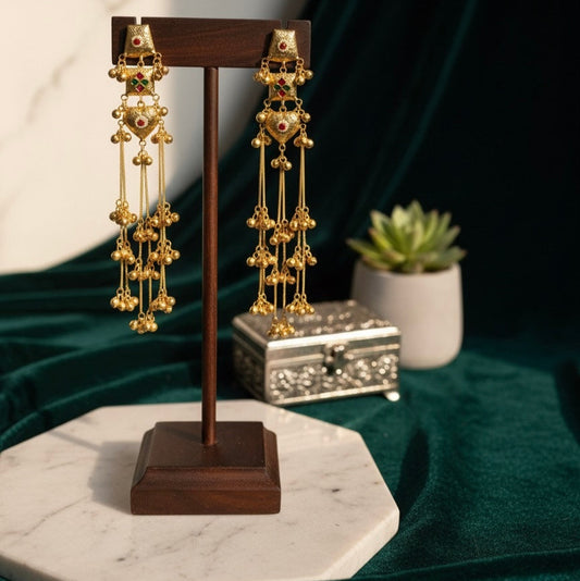 Unique Kashmiri Design Earrings